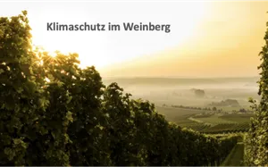 Vortragsfolie "Klimaschutz im Weinberg" mit Weinbergpanorama