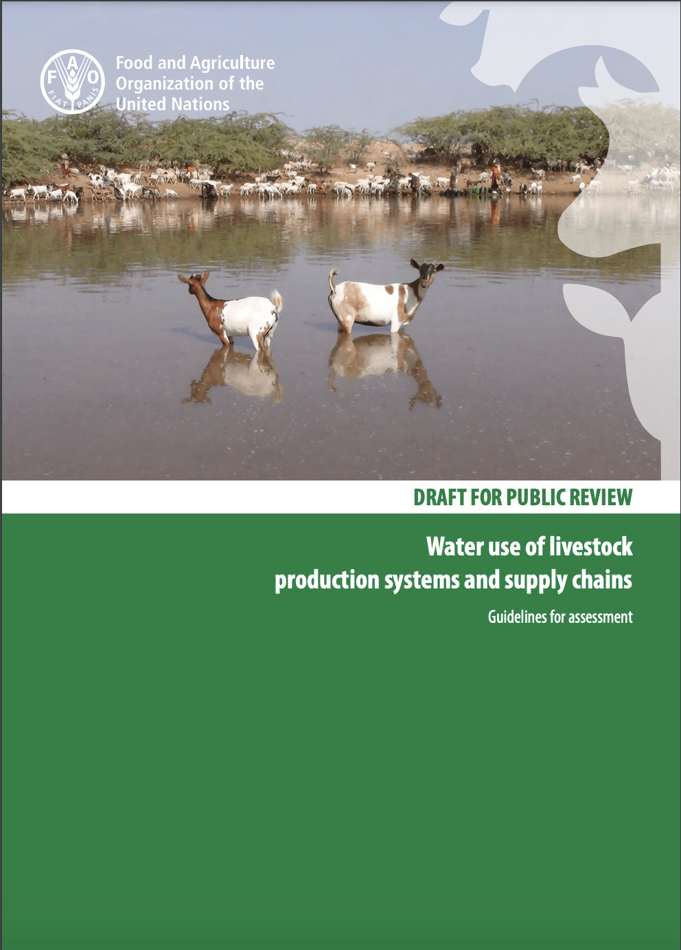 Water use of livestock production systems and supply chains - food and agriculture organization of the united nations - Dr Helena Ponstein